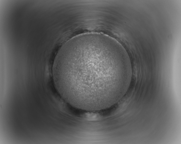 X0000089660272200707051535