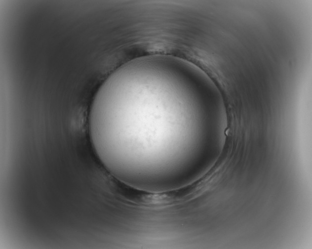 X0000089660273200707051535