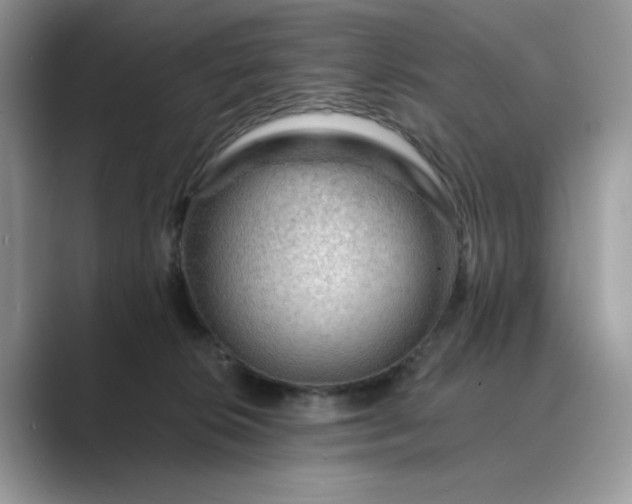 X0000089660276200707051535