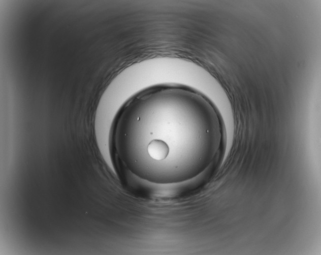 X0000089660280200707051535