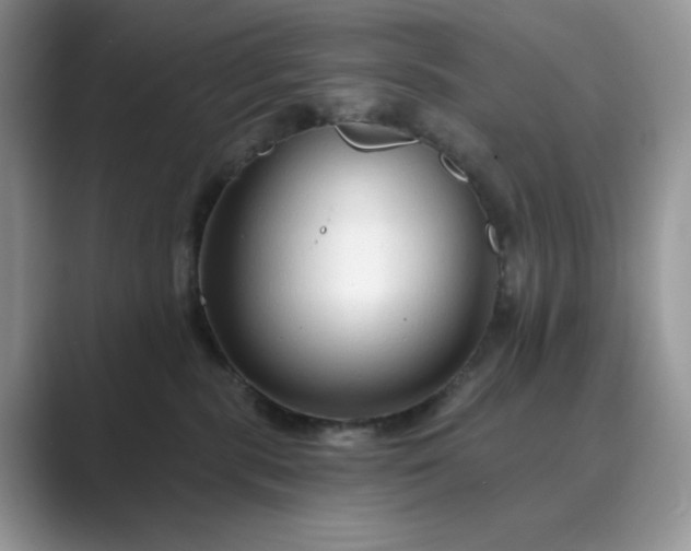 X0000089660283200707051535