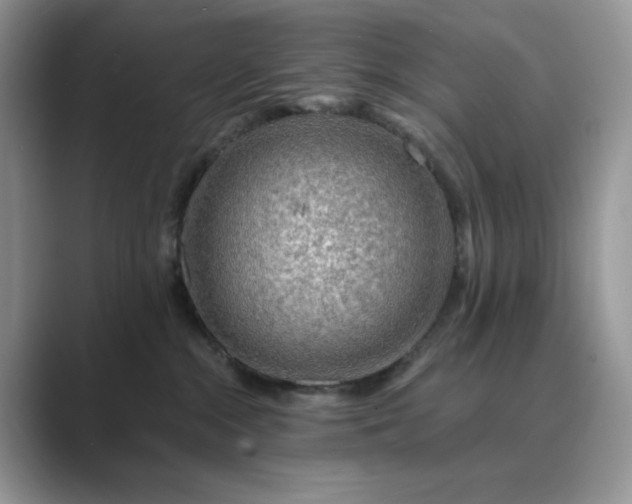 X0000089660284200707051535