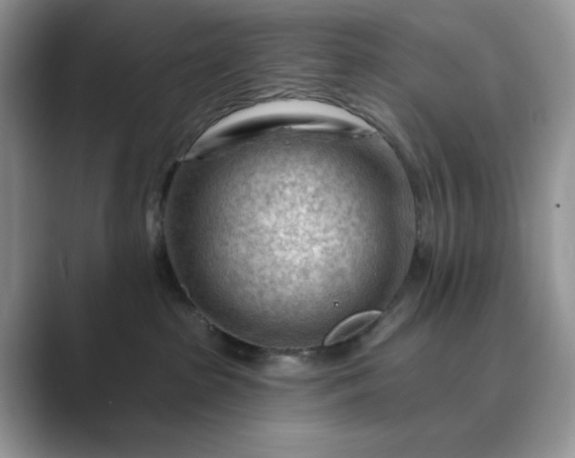 X0000089660285200707051535