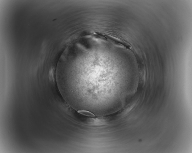 X0000089660286200707051535