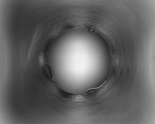 X0000089660287200707051535