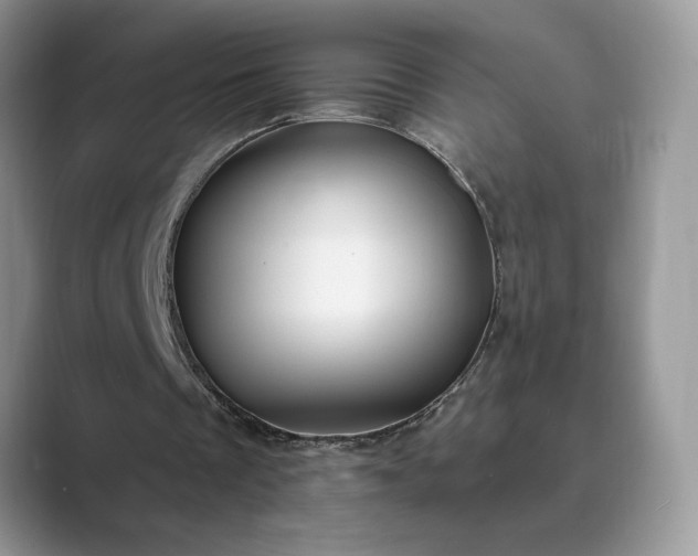 X0000089660289200707051535