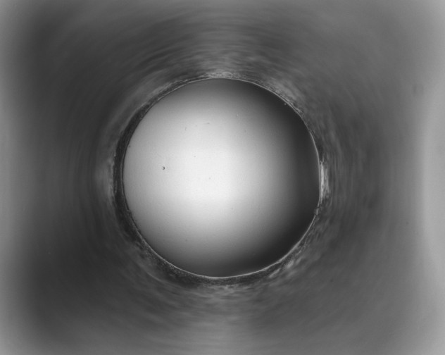 X0000089660291200707051535