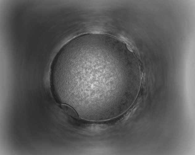 X0000089660292200707051535