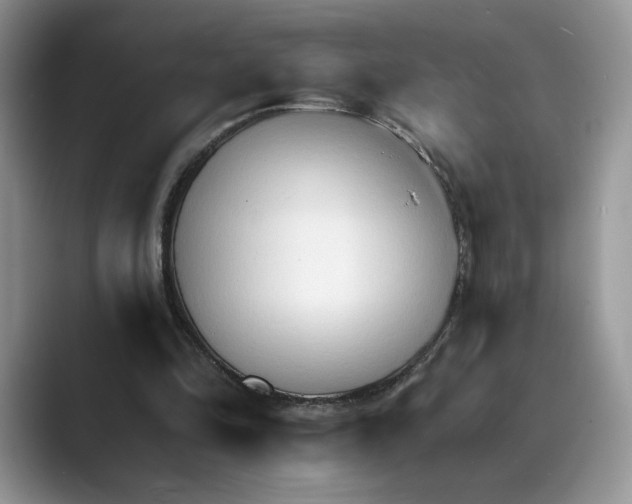 X0000089660294200707051535