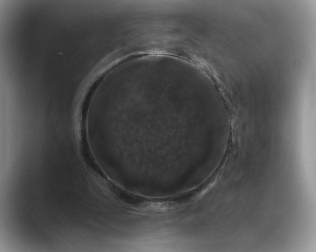 X0000089660295200707051535