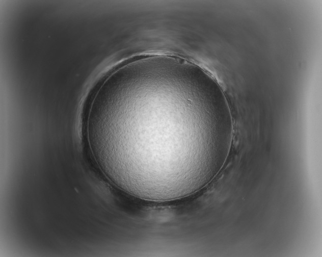 X0000089660296200707051535