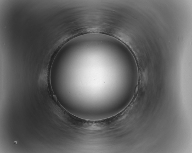 X0000089660297200707051535