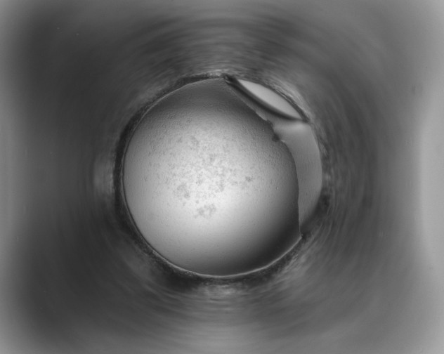 X0000089660299200707051535