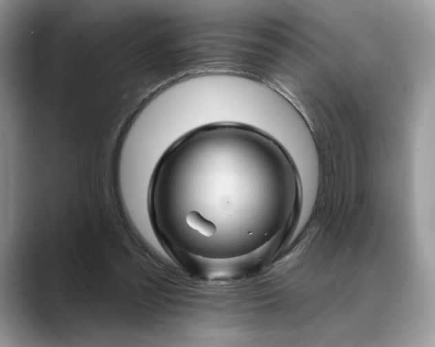 X0000089660301200707051535