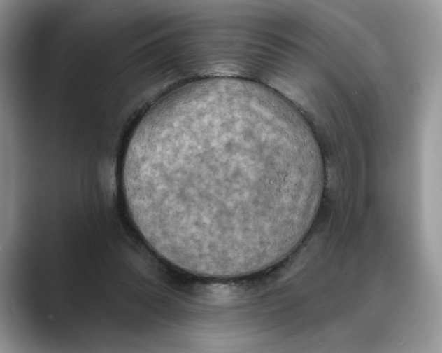 X0000089660302200707051535