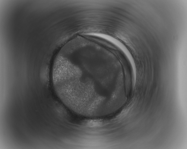 X0000089660303200707051535