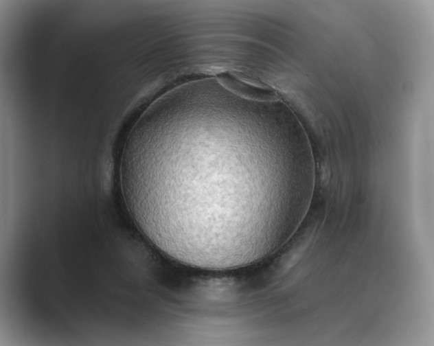 X0000089660304200707051535