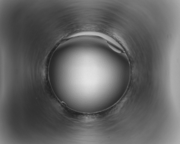 X0000089660305200707051535