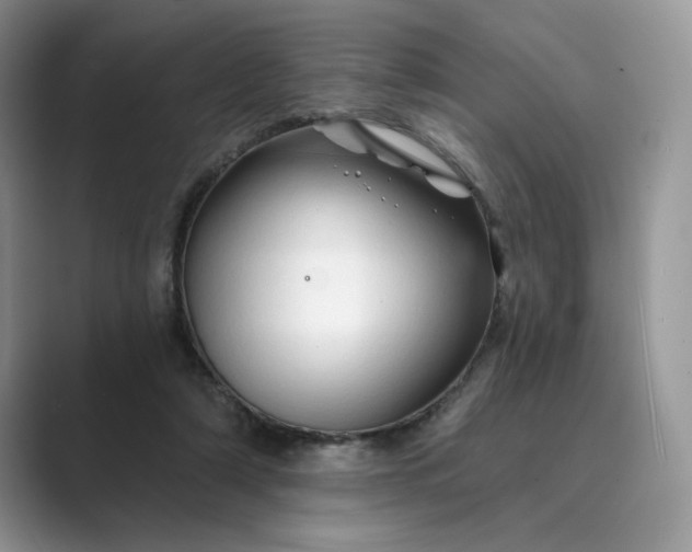 X0000089660306200707051535