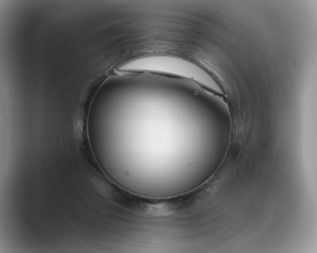 X0000089660309200707051535