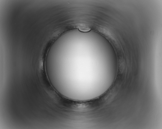 X0000089660310200707051535