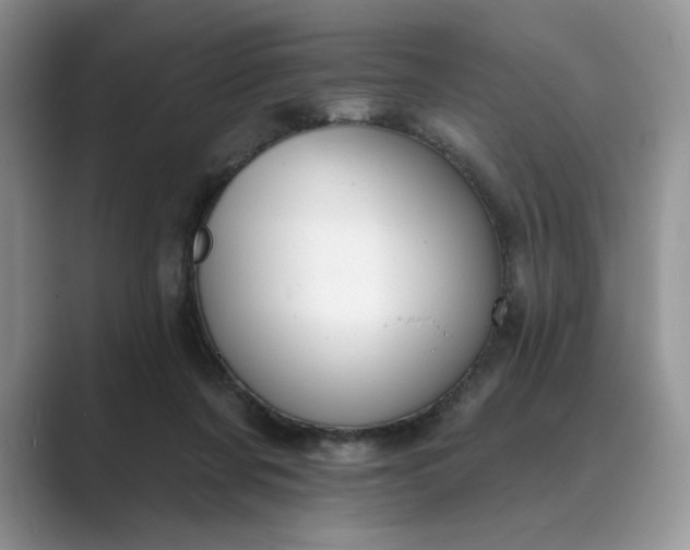 X0000089660311200707051535