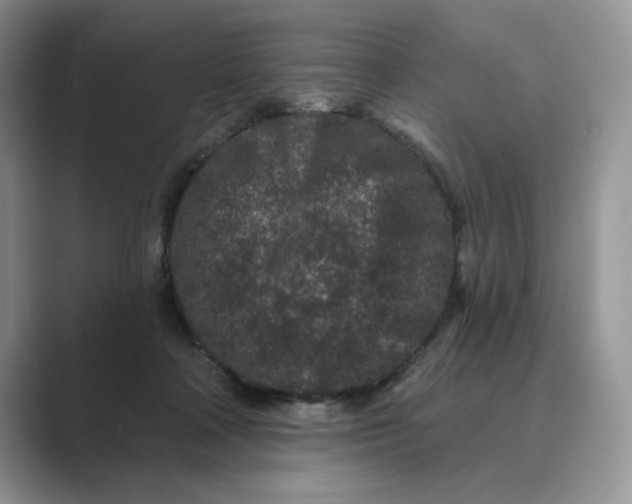 X0000089660314200707051535