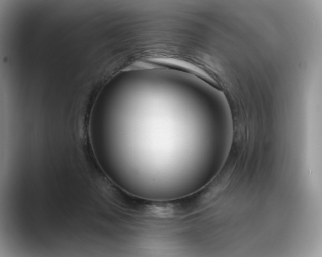 X0000089660317200707051534