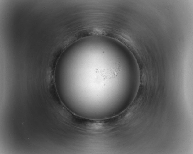 X0000089660318200707051534