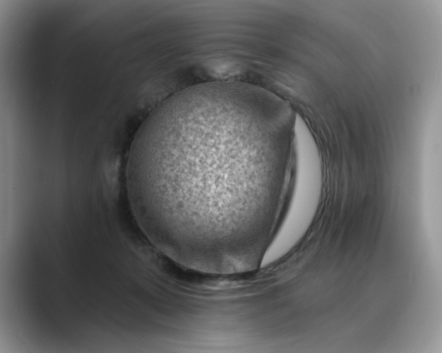 X0000089660319200707051534