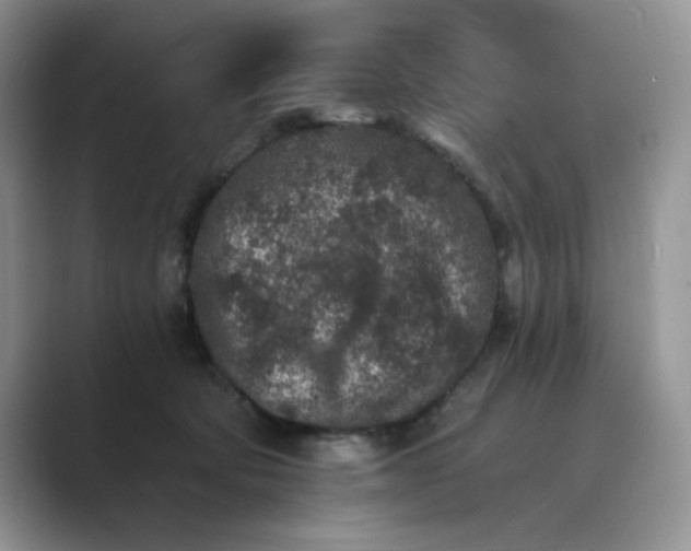 X0000089660322200707051534