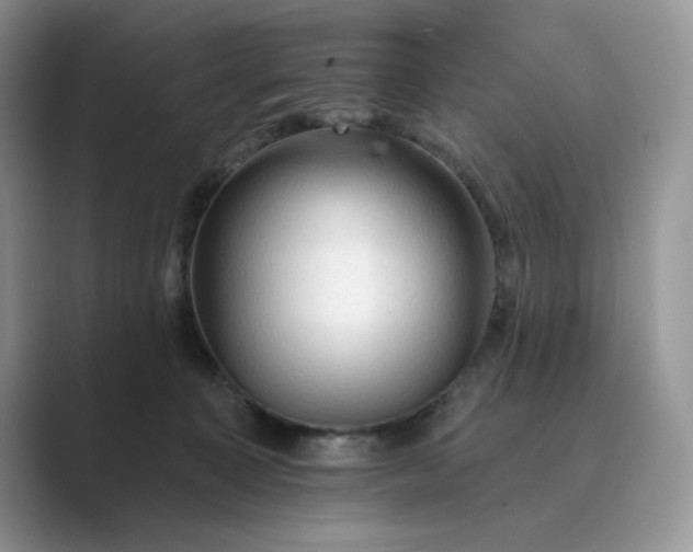 X0000089660323200707051534