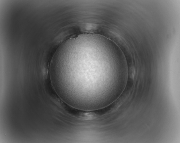 X0000089660324200707051534