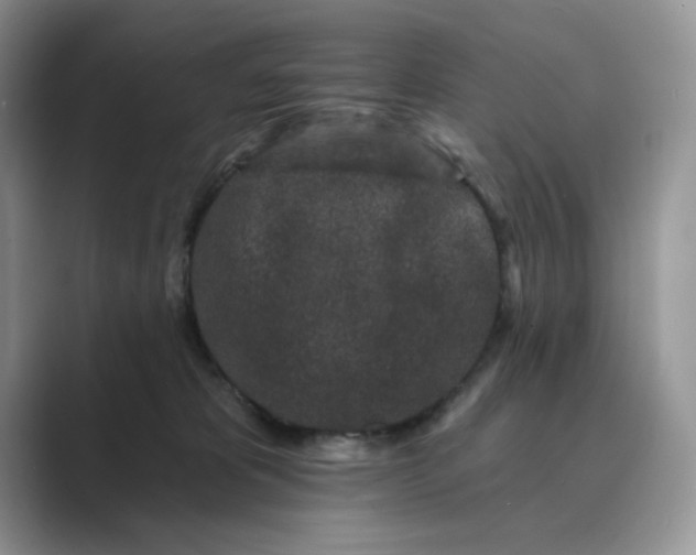 X0000089660325200707051534