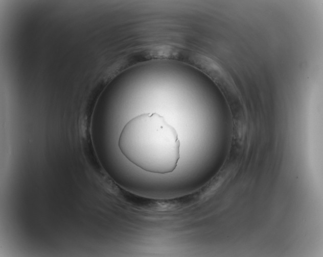 X0000089660326200707051534