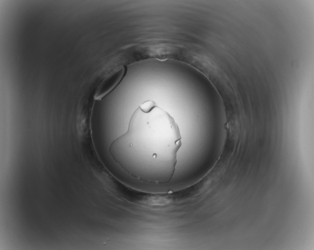 X0000089660327200707051534