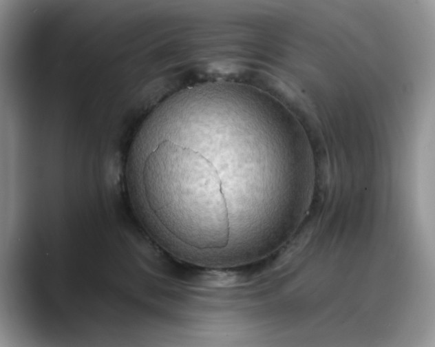 X0000089660328200707051534