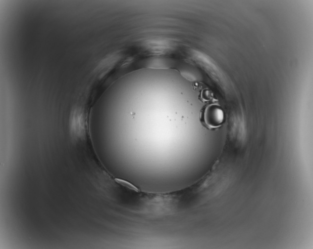 X0000089660329200707051534