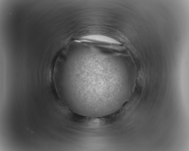 X0000089660330200707051534