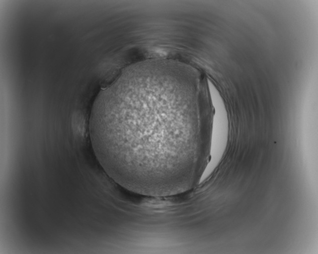 X0000089660331200707051534