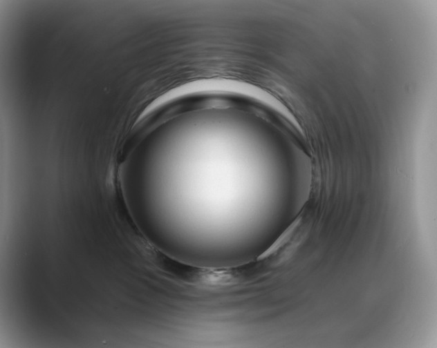 X0000089660333200707051534