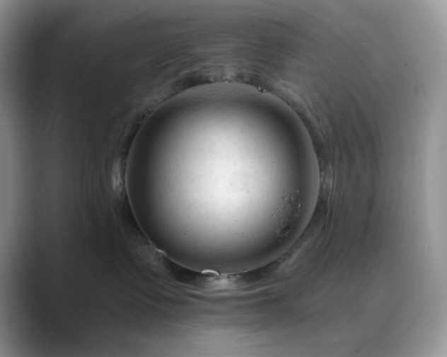 X0000089660335200707051534