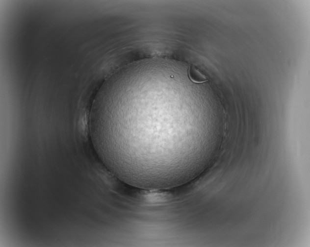 X0000089660336200707051534