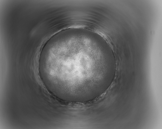 X0000089660337200707051534