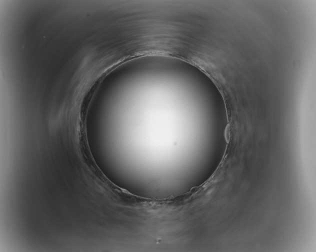 X0000089660338200707051534