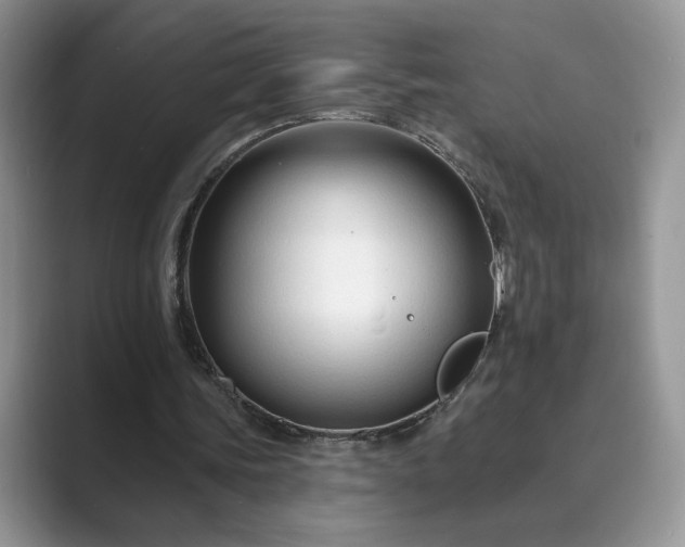 X0000089660339200707051534