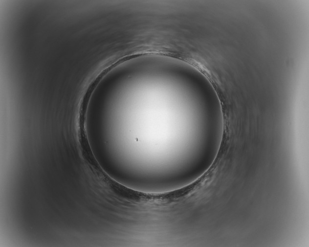 X0000089660340200707051534