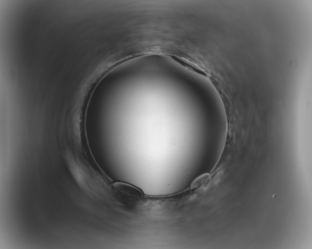 X0000089660341200707051534