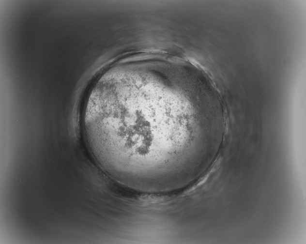 X0000089660343200707051534