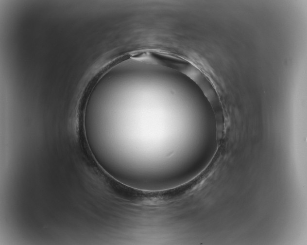 X0000089660344200707051534